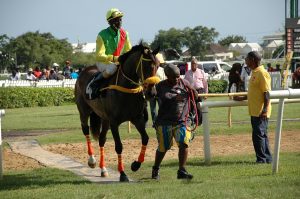 gagner handicap turf